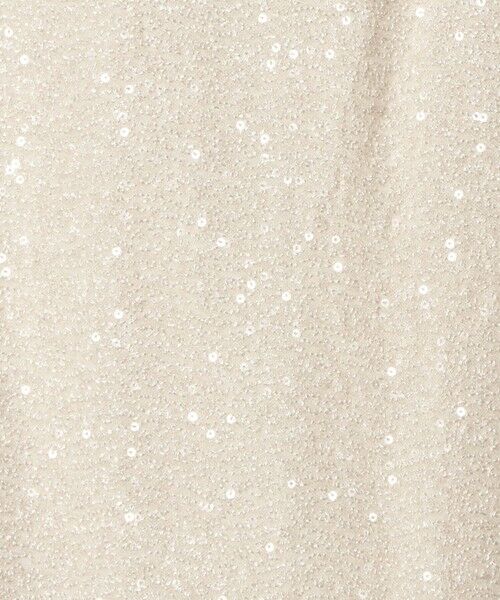 UNITED ARROWS / ユナイテッドアローズ ミニ・ひざ丈スカート | スパンコール Iライン スカート | 詳細7