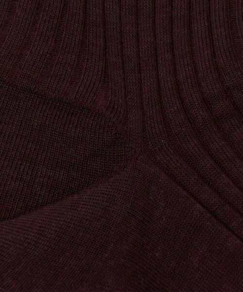 UNITED ARROWS / ユナイテッドアローズ ソックス | ＜PANTHERELLA＞W/N リブ ソックス | 詳細6