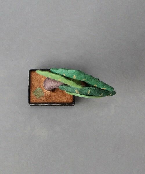 UNITED ARROWS / ユナイテッドアローズ インテリア・インテリア雑貨 | ＜めでたや＞ミニ盆栽 | 詳細5