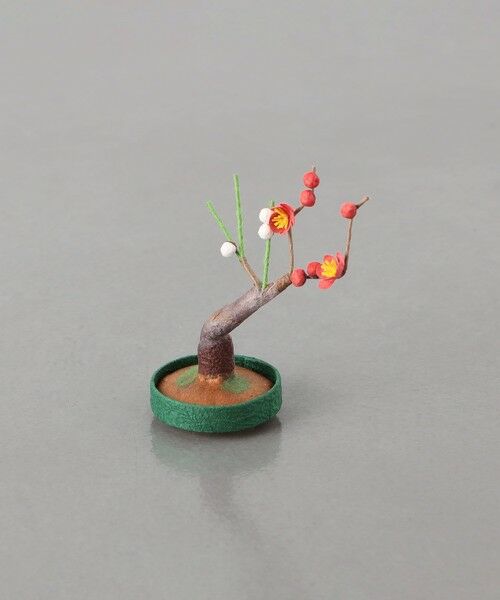 UNITED ARROWS / ユナイテッドアローズ インテリア・インテリア雑貨 | ＜めでたや＞ミニ盆栽 | 詳細8