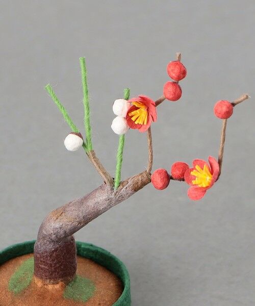 UNITED ARROWS / ユナイテッドアローズ インテリア・インテリア雑貨 | ＜めでたや＞ミニ盆栽 | 詳細10