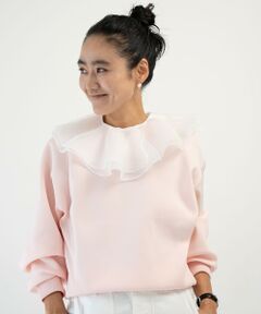 UNITED ARROWS / ユナイテッドアローズ その他小物 | ＜AYA KANEKO×IRIS 47×UNITED ARROWS＞オーガンジー つけ襟