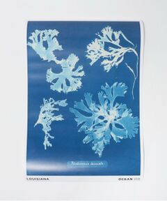 UNITED ARROWS / ユナイテッドアローズ インテリア・インテリア雑貨 | ＜LOUISIANA MUSEUM OF MODERN ART＞POSTERS A2
