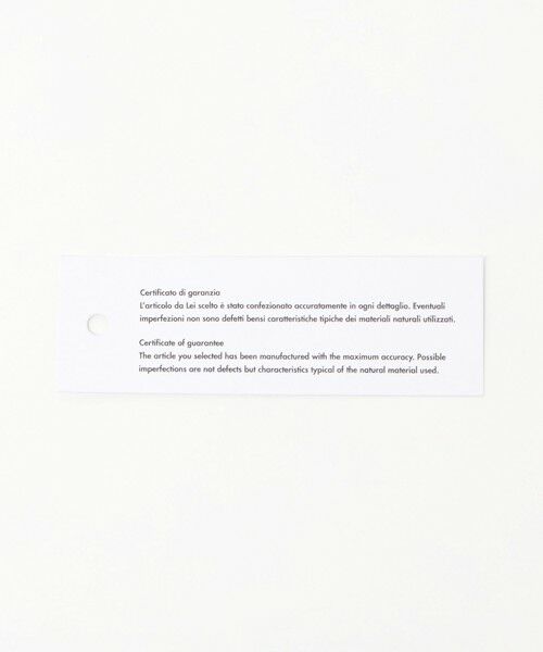 UNITED ARROWS / ユナイテッドアローズ ハンドバッグ | ＜GIANNI CHIARINI＞CAMILLA MET バッグ | 詳細16