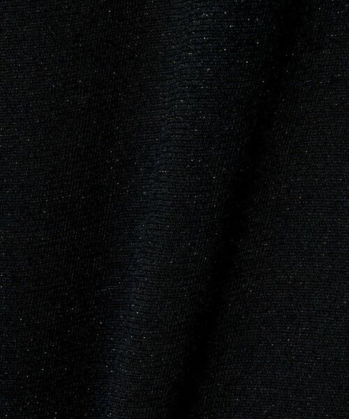 UNITED ARROWS / ユナイテッドアローズ カットソー | ラメ テンジク Tシャツ | 詳細15