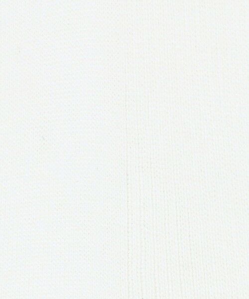 UNITED ARROWS / ユナイテッドアローズ ソックス | ＜babaco＞CTN リブ ソックス | 詳細1