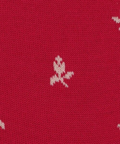 UNITED ARROWS / ユナイテッドアローズ ソックス | ＜babaco＞タイニーフラワー ソックス | 詳細1