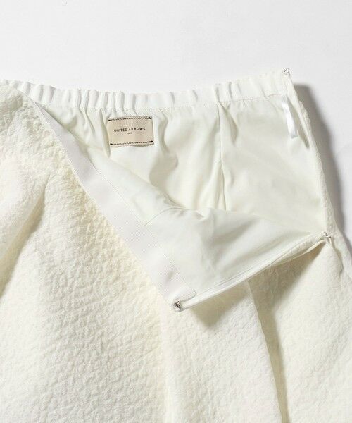 UNITED ARROWS / ユナイテッドアローズ ミニ・ひざ丈スカート | オーガンジー ジャガード フレアスカート ‐ウォッシャブル‐ | 詳細1