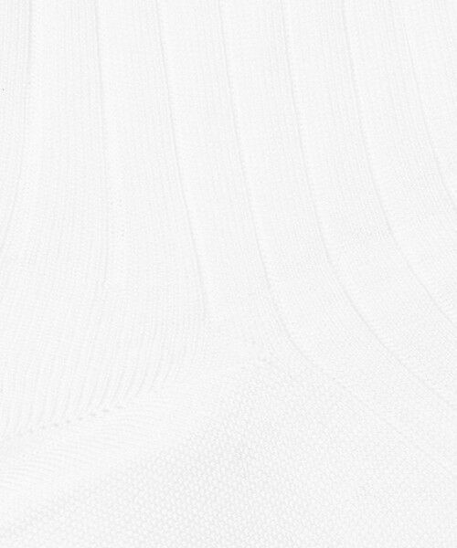 UNITED ARROWS / ユナイテッドアローズ ソックス | ＜Pantherella＞CTN/NY リブ ソックス | 詳細1