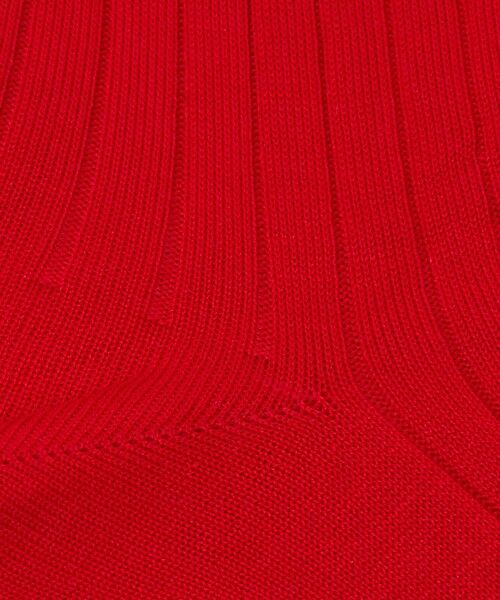 UNITED ARROWS / ユナイテッドアローズ ソックス | ＜Pantherella＞CTN/NY リブ ソックス | 詳細8