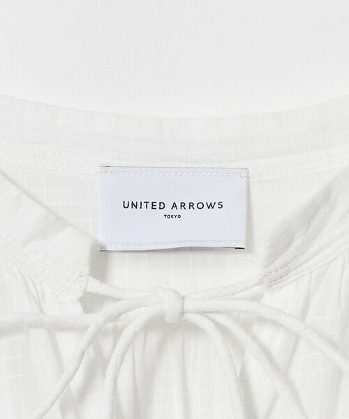 UNITED ARROWS / ユナイテッドアローズ ロング・マキシ丈ワンピース | インディア ボイル チェック ワンピース | 詳細15
