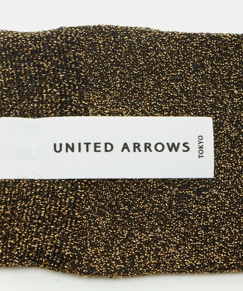 UNITED ARROWS / ユナイテッドアローズ ソックス | グリッター ソックス | 詳細2