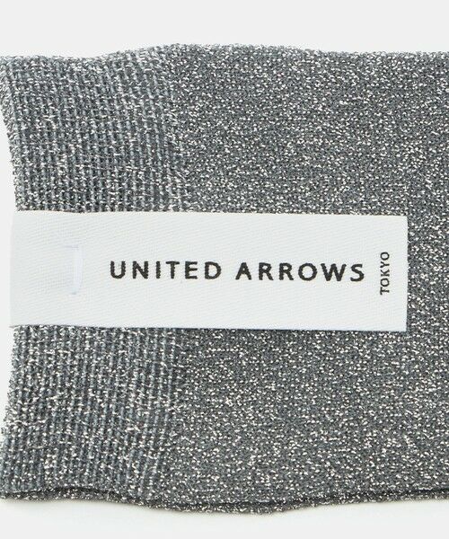 UNITED ARROWS / ユナイテッドアローズ ソックス | グリッター ソックス | 詳細4