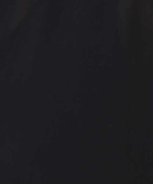 UNTITLED / アンタイトル シャツ・ブラウス | 【洗える/スキッパー】フレンチスリーブシアーブラウス | 詳細5