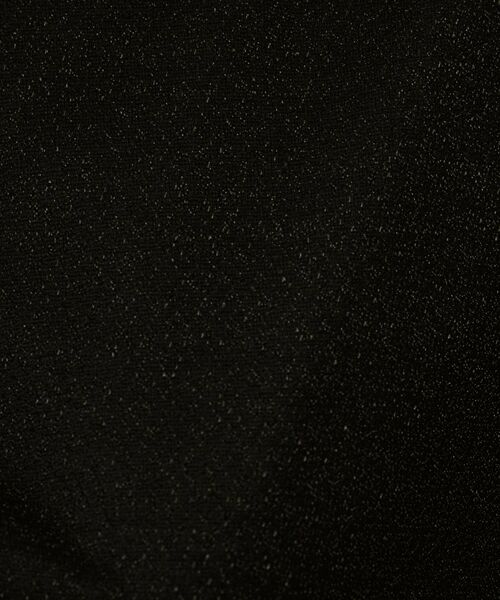 UNTITLED / アンタイトル Tシャツ | 【洗える】ラメシアーTシャツ | 詳細15