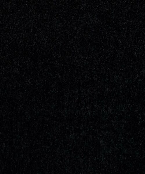 UNTITLED / アンタイトル カットソー | 【ハイネック/レイヤード/重ね着におすすめ】トリコットベロア シアーインナー | 詳細9