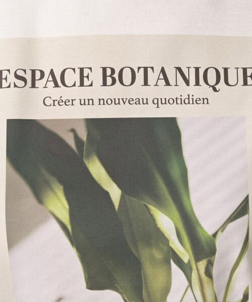 UNTITLED / アンタイトル カットソー | 【コットン100/洗える】フォトロングTシャツ | 詳細9