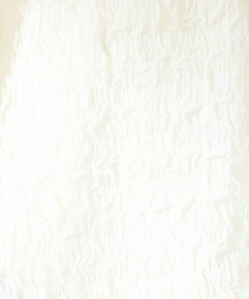 UNTITLED / アンタイトル シャツ・ブラウス | シアーVネックブラウス | 詳細5