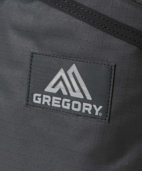 URBAN RESEARCH / アーバンリサーチ リュック・バックパック | GREGORY　DAY PACK | 詳細10