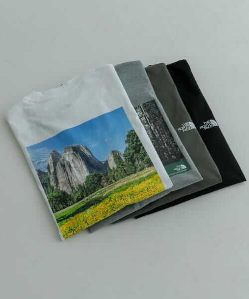 URBAN RESEARCH / アーバンリサーチ Tシャツ | THE NORTH FACE　S/S  Yosemite Scenery T-Shirts | 詳細10