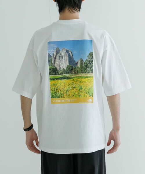 URBAN RESEARCH / アーバンリサーチ Tシャツ | THE NORTH FACE　S/S  Yosemite Scenery T-Shirts | 詳細9