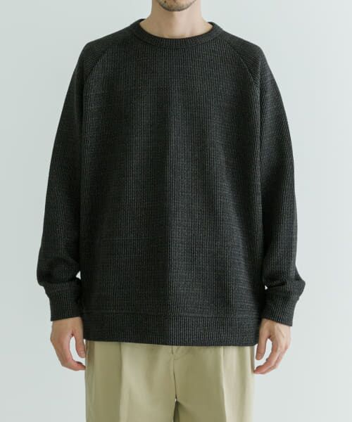 URBAN RESEARCH / アーバンリサーチ Tシャツ | LOWGAUGE KANOKO CREW-NECK | 詳細13