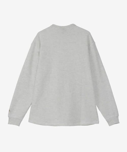 URBAN RESEARCH / アーバンリサーチ Tシャツ | THE NORTH FACE　Long Sleeve Warm Waffle Crew | 詳細5