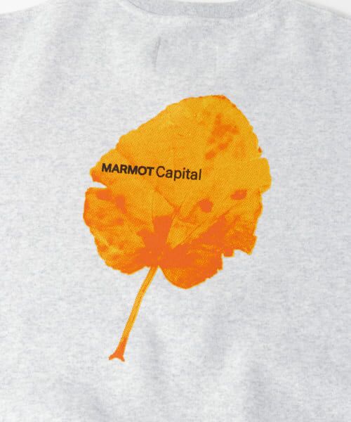 URBAN RESEARCH / アーバンリサーチ スウェット | MARMOT CAPITAL　LEAF CREW SWEAT | 詳細4