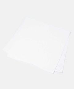 URBAN RESEARCH / アーバンリサーチ タオル | HIPPOPOTAMUS　BC BLEND Bath towel