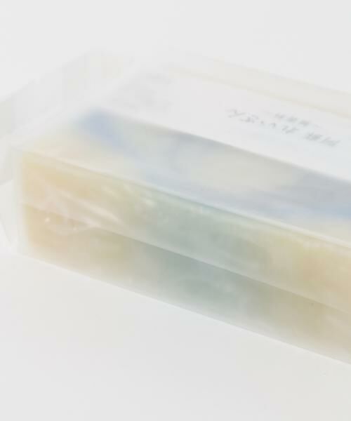 URBAN RESEARCH / アーバンリサーチ ソープ | Ladybug　阿蘇れいざん | 詳細6