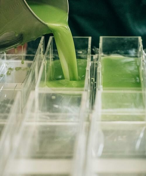 URBAN RESEARCH / アーバンリサーチ ソープ | Ladybug　グリーンティ | 詳細1