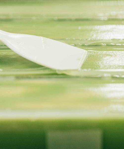 URBAN RESEARCH / アーバンリサーチ ソープ | Ladybug　グリーンティ | 詳細2