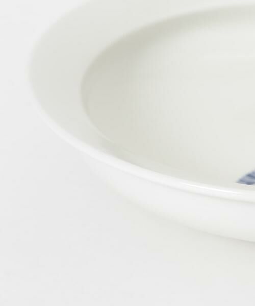 URBAN RESEARCH / アーバンリサーチ その他 | aiyu　motte×DinosaUR プレート | 詳細3