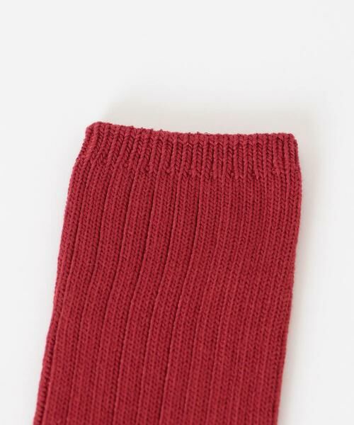 URBAN RESEARCH / アーバンリサーチ ソックス | 『URTECH』太リブソックス | 詳細2