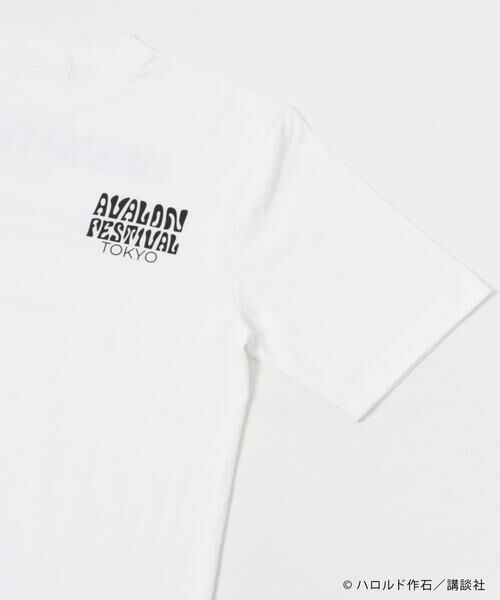 URBAN RESEARCH / アーバンリサーチ Tシャツ | AVALONFES BACK PRINT T-SHIRTS | 詳細5