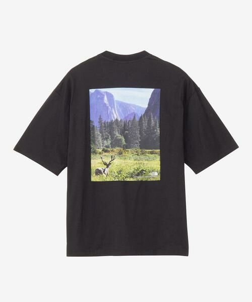 URBAN RESEARCH / アーバンリサーチ Tシャツ | THE NORTH FACE　S/S Yosemite Scenery T-Shirts | 詳細8