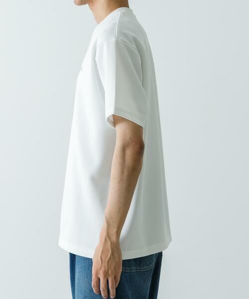 URBAN RESEARCH / アーバンリサーチ Tシャツ | 『別注』LACOSTE×UR　Functional Pique T-shirts | 詳細17