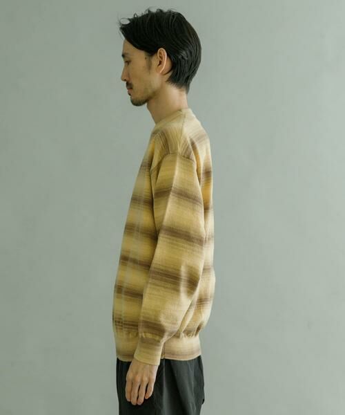 URBAN RESEARCH / アーバンリサーチ ニット・セーター | マルチボーダークルーネックニット | 詳細3