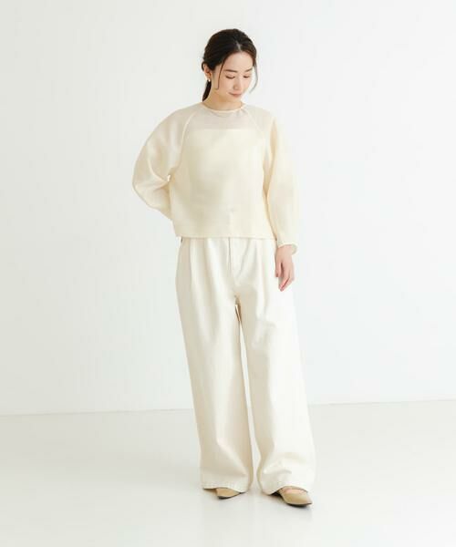 URBAN RESEARCH / アーバンリサーチ シャツ・ブラウス | 『MADE IN JAPAN』オーガンジーブラウス | 詳細22