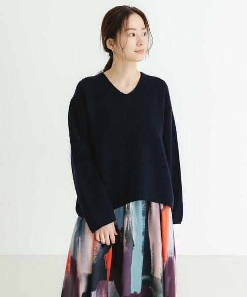 URBAN RESEARCH / アーバンリサーチ ニット・セーター | HAMILTON WOOL 畦Vネックニット（ネイビー）