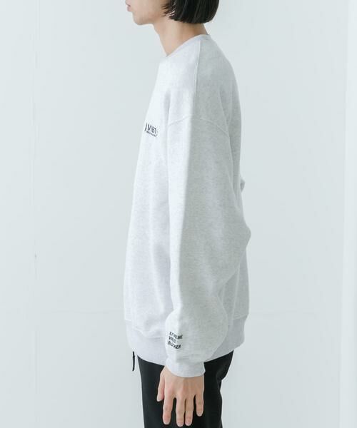 URBAN RESEARCH / アーバンリサーチ スウェット | 『別注』VIBTEX×URBAN RESEARCH　CREWNECK SWEAT | 詳細10