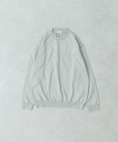 URBAN RESEARCH / アーバンリサーチ ニット・セーター | ガス焼きシルケットクルーネック