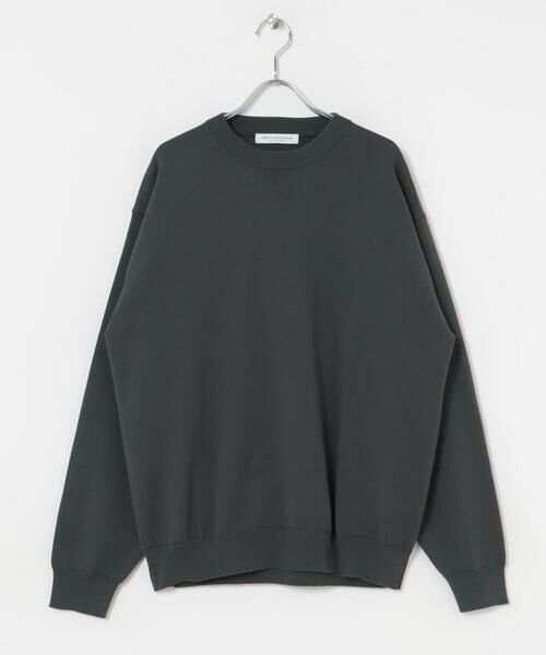 URBAN RESEARCH / アーバンリサーチ ニット・セーター | ガス焼きシルケットクルーネック | 詳細19