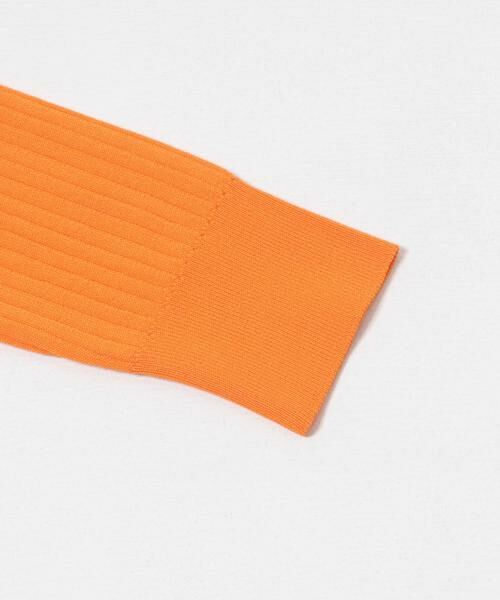 URBAN RESEARCH / アーバンリサーチ ニット・セーター | 『WEB限定』クルーネックコンパクトリブニット | 詳細9