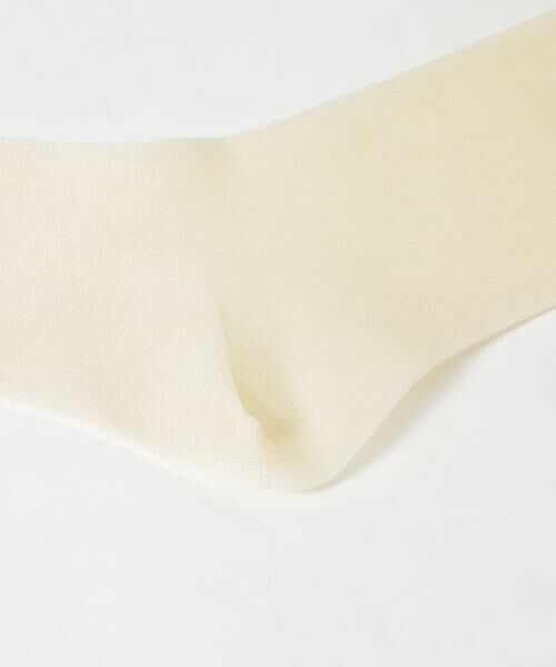 URBAN RESEARCH / アーバンリサーチ ソックス | シアーハイソックス | 詳細6