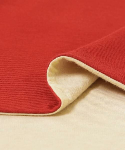 URBAN RESEARCH / アーバンリサーチ Tシャツ | リバーシブルTシャツ | 詳細12