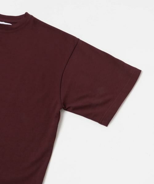 URBAN RESEARCH / アーバンリサーチ Tシャツ | Premium Organic Cotton T-shirts | 詳細13
