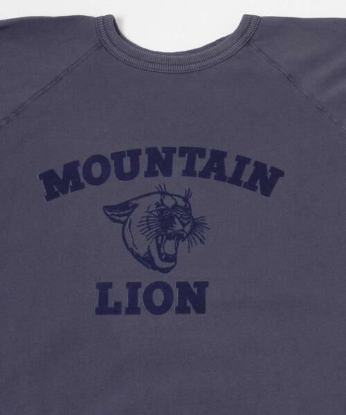 URBAN RESEARCH / アーバンリサーチ スウェット | 『別注』Mixta×URBAN RESEARCH　MOUNTAIN LION | 詳細8