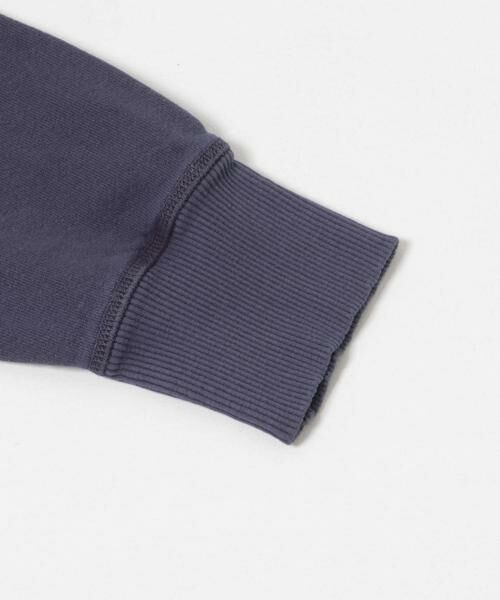 URBAN RESEARCH / アーバンリサーチ スウェット | 『別注』Mixta×URBAN RESEARCH　MOUNTAIN LION | 詳細9