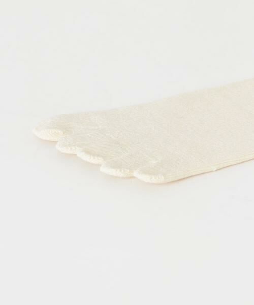 URBAN RESEARCH / アーバンリサーチ ソックス | 『URTECH』5本指ソックス | 詳細3